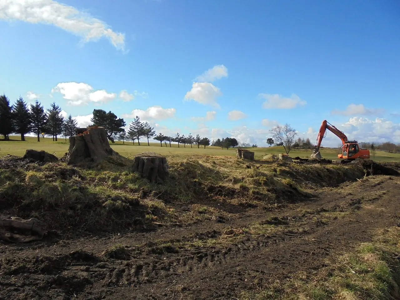 Field with tree stumps and cleared ground